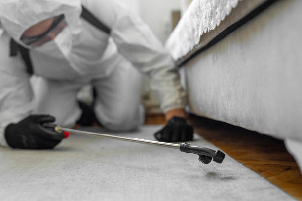 Professional Pest Control technician working in Tyler, TX