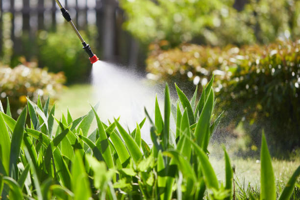 24/7 Emergency Pest Control experts in Tyler, TX